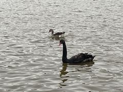 -新疆天山野生动物园