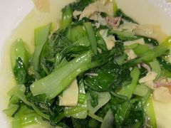 -新吉士·上海菜(浦东LCM置汇旭辉店)