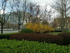 -北京八中游泳馆