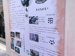 -青藏高原野生动物园