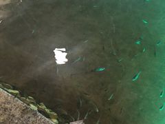 -宝丽金大酒店·洗浴中心