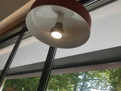 -杨氏青龙虾·羊蝎子(金盛路总店)