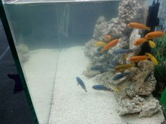 -中国杭州低碳科技馆