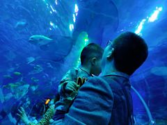 -成都浩海立方海洋公园