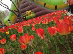 -廊坊文化艺术中心