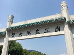 -武汉大学-樱园