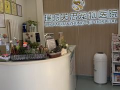 -瑞派·关忠动物医院·猫专科·犬专科(三环新城店)
