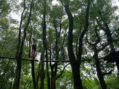 -WeLope紫金山探险公园