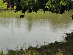 -风云岭森林公园