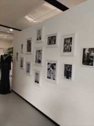 -TADASHI SHOJI(中国旗舰店)