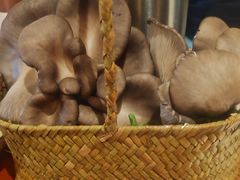 -老员外骨汤火锅(海州古城店)