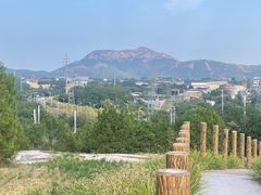 -白水寺森林公园