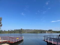 -东郊湿地公园