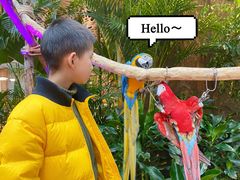 -杭州开元森泊度假乐园