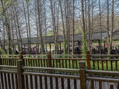 -溱湖国家湿地公园