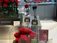 -ROSEONLY诺誓(青岛万象城店)
