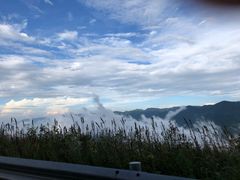 -武陵山森林公园