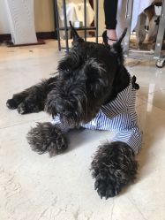 点击看大图 -Hello Lady发型设计