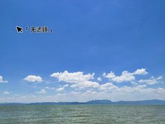 -捞渔河湿地公园
