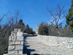 -原山国家森林公园