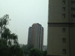 iphone_upload_pic-新大宗饭店