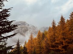 -管涔山