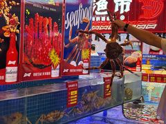 -驻海渔市(置信店)