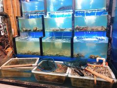 水产区-老东镇啤酒屋海鲜加工·蒸汽海鲜·海鲜烧烤(台东店)