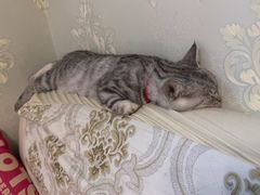 -合肥野生动物园