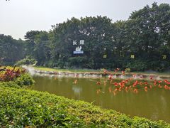 -广州长隆飞鸟乐园