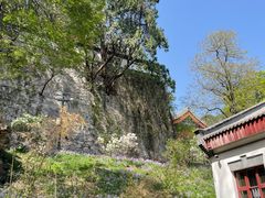 -香山公园