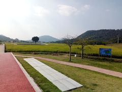 -艾米稻香小镇