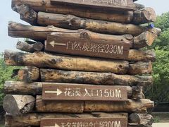 -北京西山国家森林公园