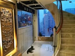 -Catmate·猫肥家润(金润铂宫店)
