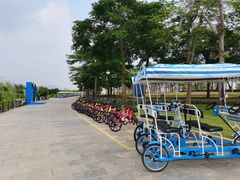 -芒洲湿地公园