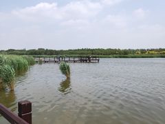 -西青郊野公园
