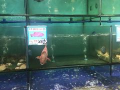 水产区-南海渔家•海鲜•正宗海南菜(海棠湾店)