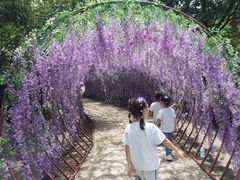 -石燕湖生态旅游景区