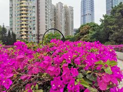 -haxnbauer海森堡德国餐厅(深圳coco店)