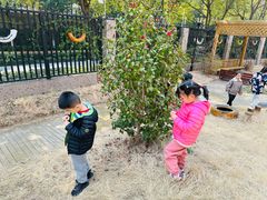 -布朗幼儿园(北江豪庭园)