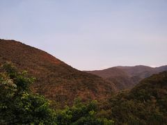 -海南霸王岭国家森林公园