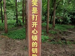 -东平国家森林公园