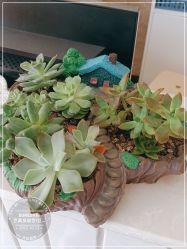 -尚艺造型.剪烫染.接发