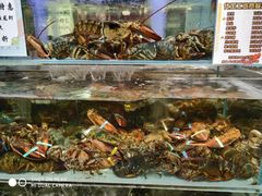 波龙工坊-超级物种·波龙工坊(国贸店)