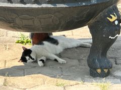 -玲珑塔公园