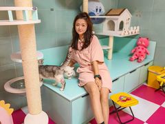 -猫宠乐园·专业洗护