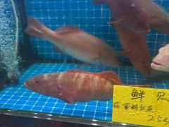 -醉壹号海鲜大排档(厦门美食地标店)