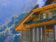 -岚山猴子公园