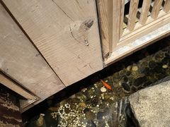 -邈墨茶馆(凤起路店)