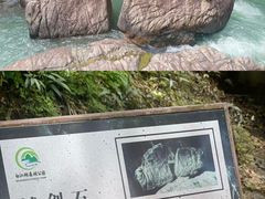 -广州白江湖森林公园